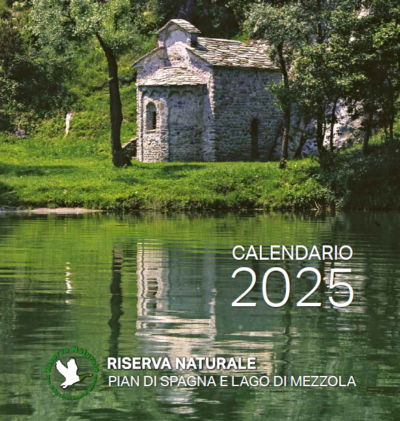 copertina calendario 2025